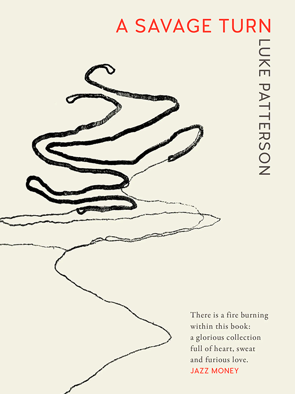 A Savage Turn Book Cover
