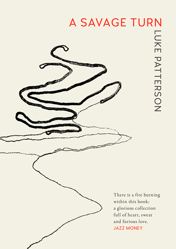 A Savage Turn Book Cover