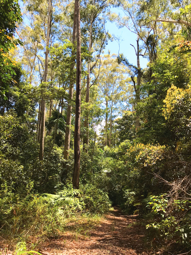 Lois Roberts, whose body was found on a track in Whian Whian State Forest, north of Lismore. Picture: supplied.