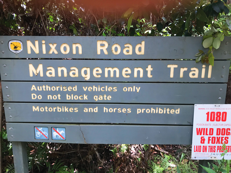 Nixon Road Trail, Northern Rivers.